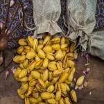SAFFRON PISTACHIOS Golden Aroma | Lightly Roasted | Rich & Exquisite - Image 2