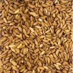 PREMIUM ALMONDS Crunchy | Fresh | Naturally Nutritious LondonBazaar