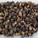 AFGHAN BLACK MULBERRIES  Naturally Sun-Dried | Sweet & Tangy | Premium Grade - Image 2