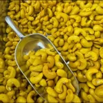 SAFFRON CASHEW NUTS Infused with Real Saffron | Lightly Roasted | Royal Delight - Image 2