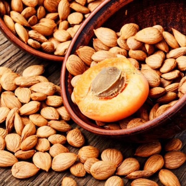 Apricot Nuts