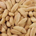 White logary Almond